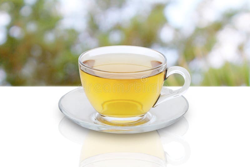 Green Tea Cup Herbal Tea Anise Ginger and Lemon Isolated on a White