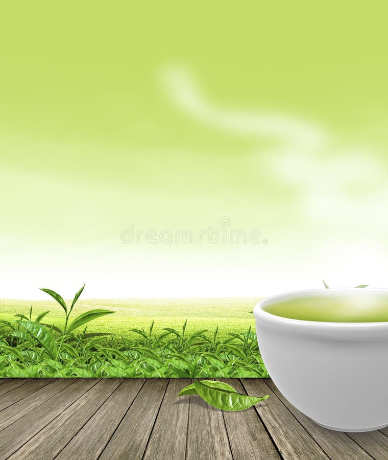 Trà xanh - Đừng bỏ qua hương vị thảo dược dịu nhẹ và mát lạnh của trà xanh. Có thể sử dụng quanh năm, trà xanh luôn là lựa chọn tuyệt vời để cảm nhận đến vị tươi mát của lòng đất. Hãy giữ sự khỏe mạnh và cân bằng trong cuộc sống của bạn với trà xanh.
