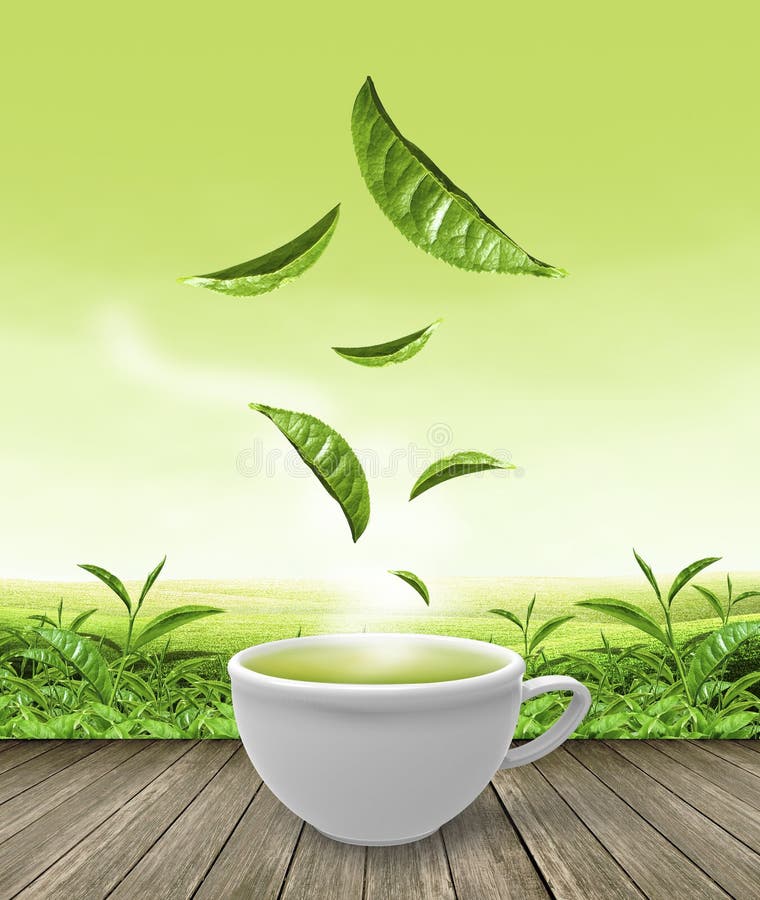 Green Tea Cup on Wooden Floor Background Stock Illustration - Illustration  of wooden, color: 56337399