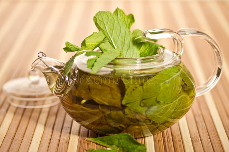 Green tea with fresh mint stock image. Image of root 30110925
