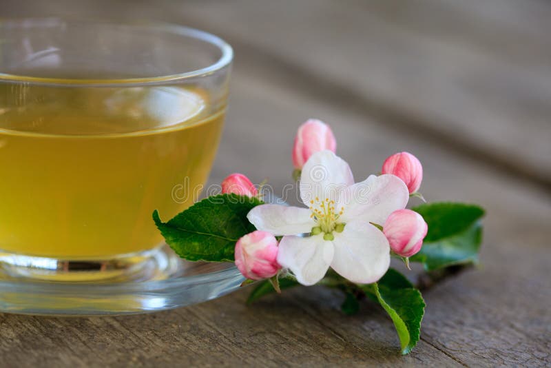 Green tea in glass cup stock photo. Image of natural 19411904