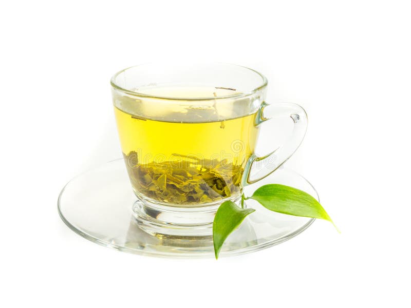 Green Tea Isolated White Germany Stock Image Image of naturopathy
