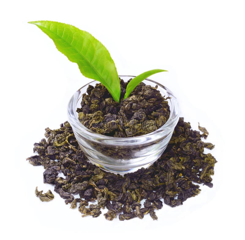 Green tea leaf stock image. Image of design, agriculture 82214275