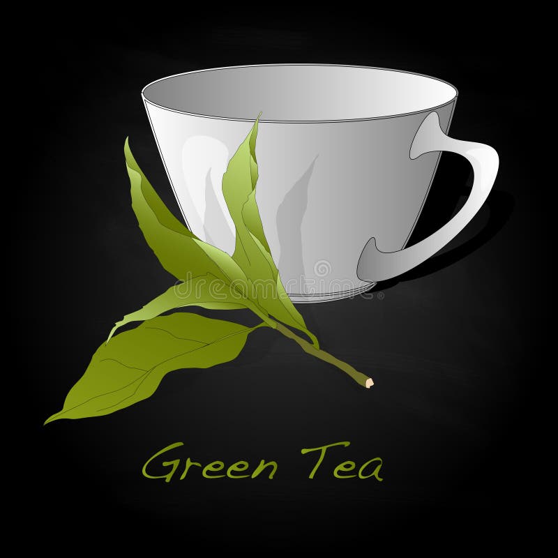 Green tea leaf vector stock vector. Illustration of nature 84531223