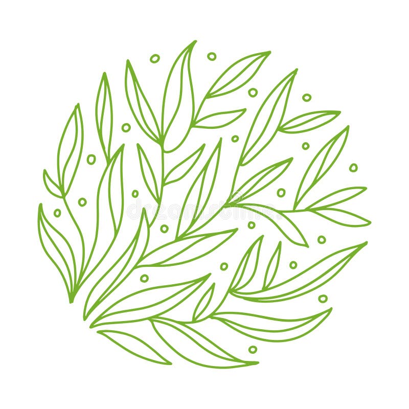 Green tea, leaves in circle. Vegan food, bio drink. Nature line symbol on white background. Raw fresh product, graphic stock illustration Green tea, leaves in circle. Vegan food, bio drink. Nature line symbol on white background. Raw fresh product, graphic stock illustration