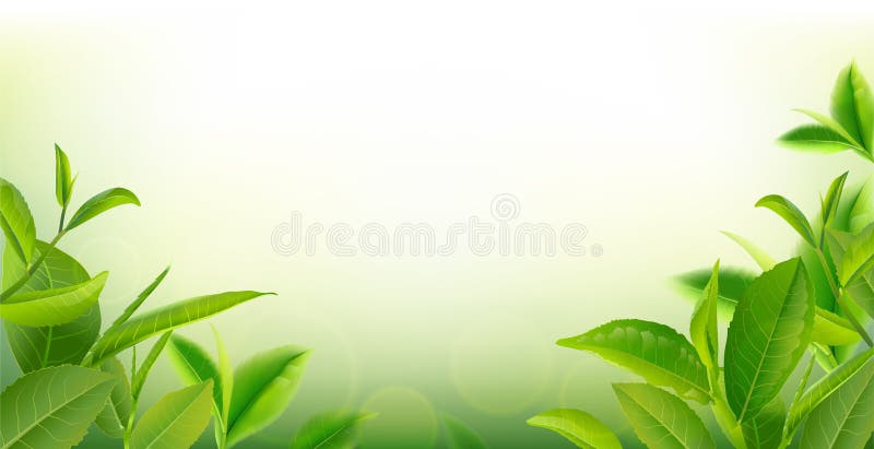 Green Tea Leaves in Motion on Sky Background. Stock Illustration -  Illustration of medicine, bright: 120264539