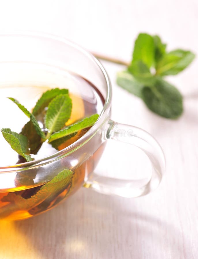 Green tea with mint stock image. Image of mint, liquid 12195651