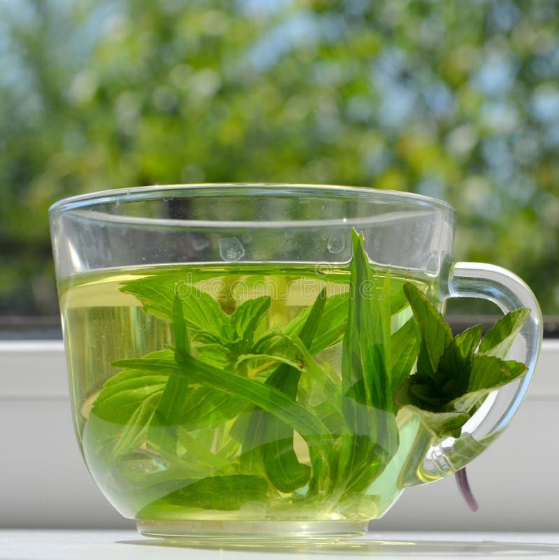 Green tea stock image. Image of organic, health, energy 54396269