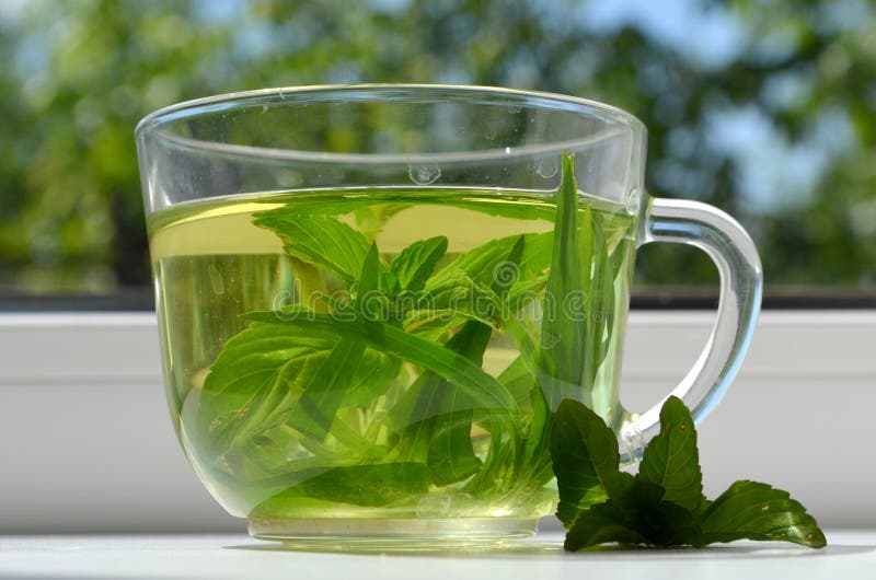Green tea stock image. Image of organic, health, energy 54396269