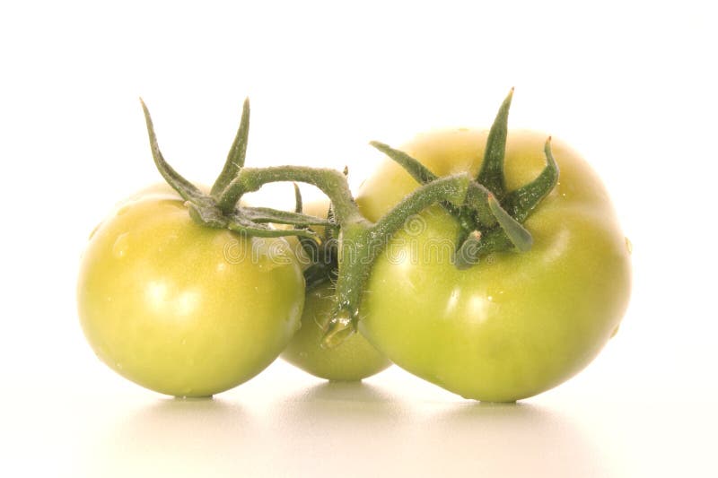 Green tomatoes stock photo. Image of tasty, food, tomato 9834828