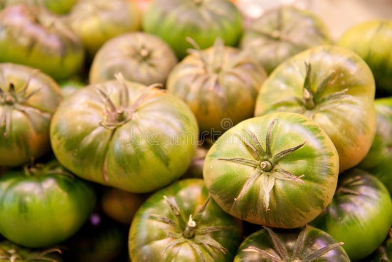 Green tomatoes stock image. Image of tomatoes, healthy 45883155