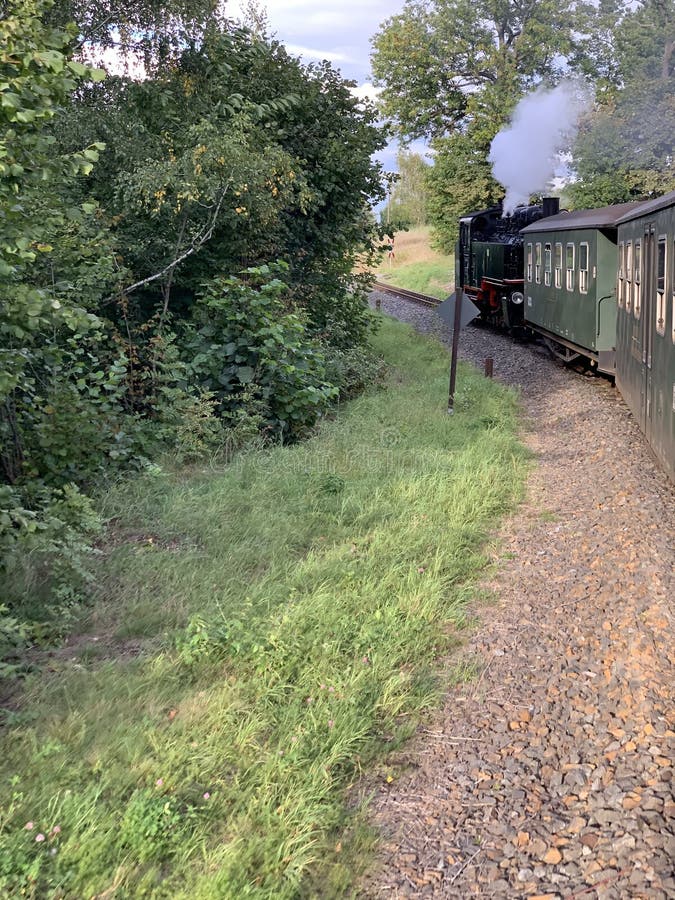 Green Train Driving through the Park Editorial Stock Image Image of