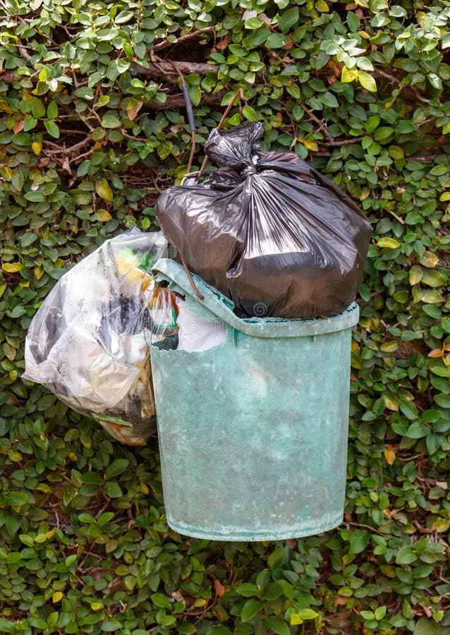A green trash can is hanging from a vine royalty free stock photography