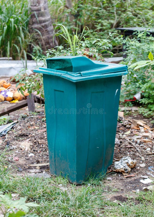 A green trash can with a plant in it royalty free stock image