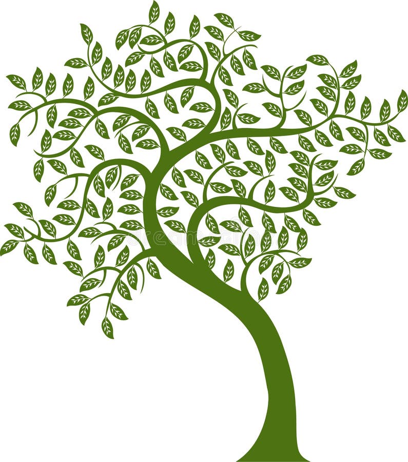 Green Tree royalty free illustration