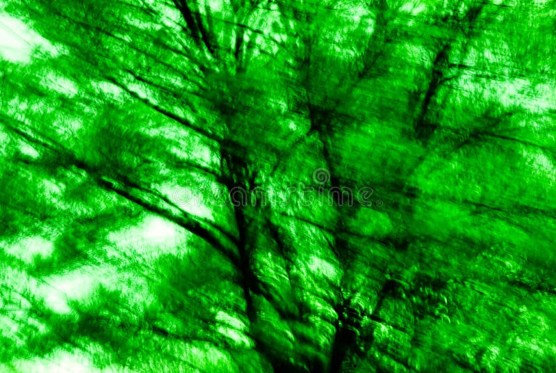 Green Tree Abstract 3