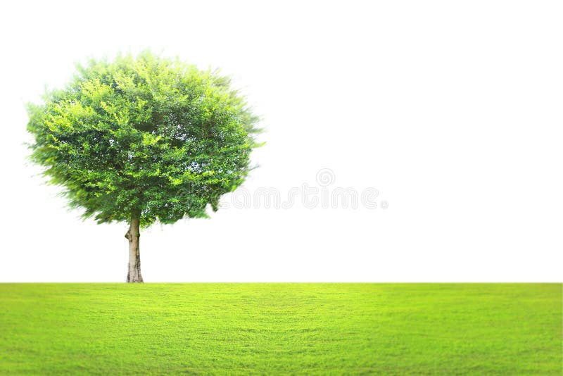 Green tree landscape stock image. Image of agriculture 39267971
