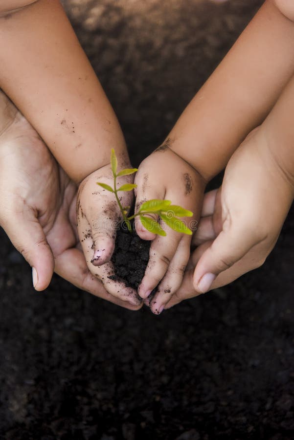 Green Tree Planting World Green. Trees with money, saving money and growing hands. royalty free stock photography