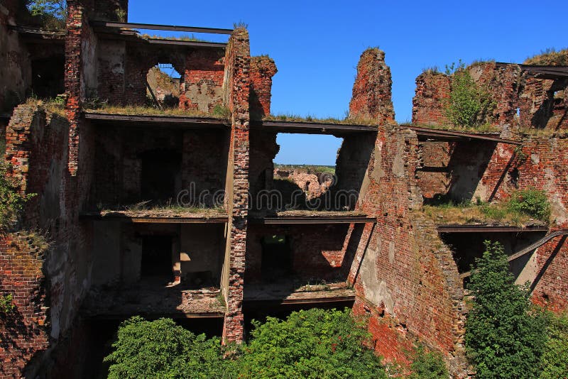 Green Trees Growing On Ruins Stock Image Image Of Construction