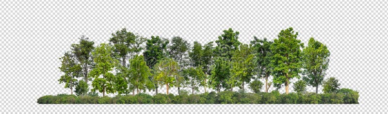 Green Trees Isolated on Transparent  Forest and Foliage in  Summer for Both Printing and Web Pages Stock Image - Image of garden,  environment: 253458239