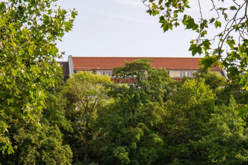 Green Trees Near a House on a Sunny Day Stock Image Image of leaves