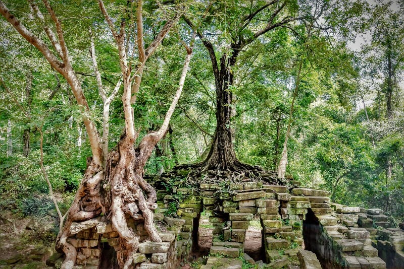 Green Trees And The Ruins Of The Angkor Thom Historic Landmark In