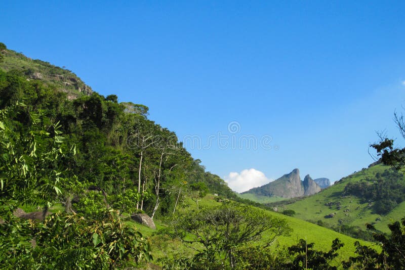Green tropical forest stock photo. Image of light, countryside 82744036