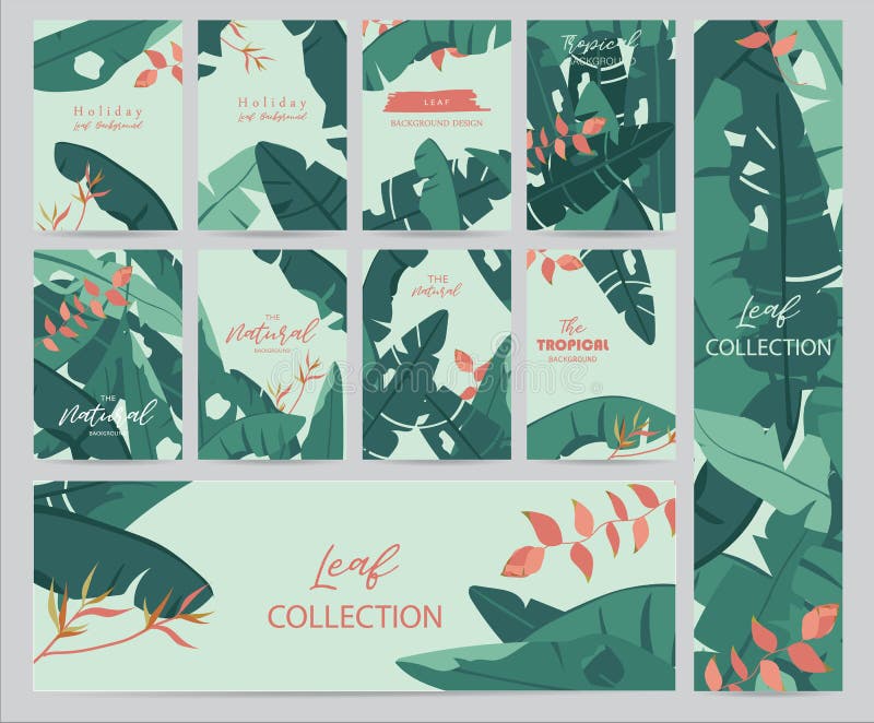 Green tropical greeting card with banana leaf,hibiscus and flower stock illustration Green tropical greeting card with banana leaf,hibiscus and flower stock illustration