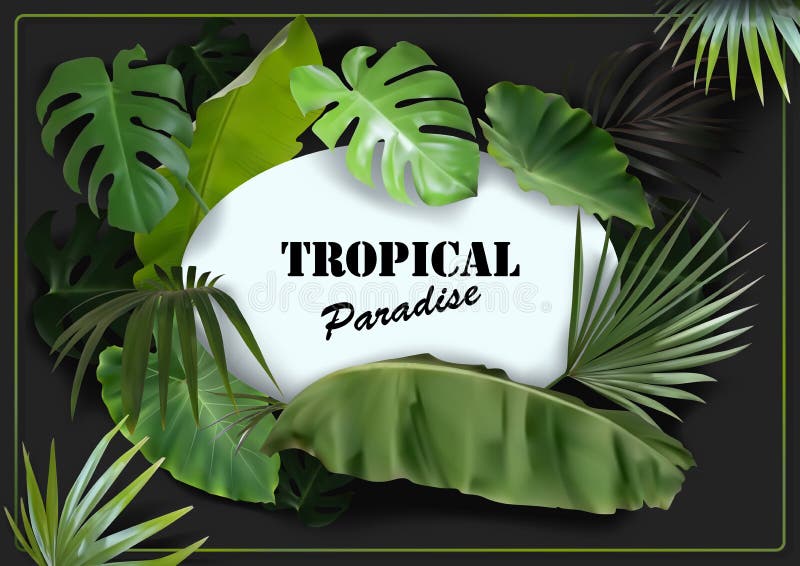 Green Tropical Leaves Background with White Oval Banner stock illustration