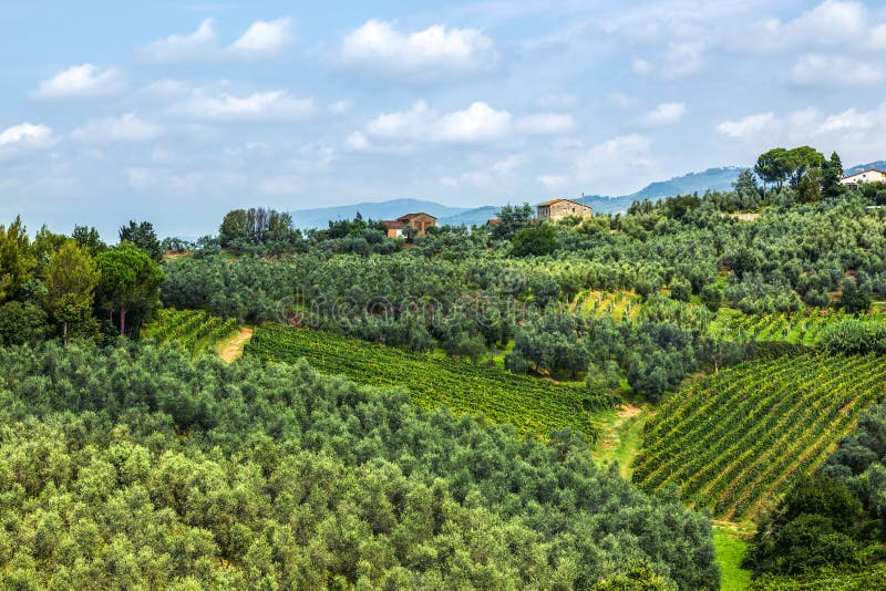 Green Tuscany Landscape stock images Green Tuscany Landscape stock images