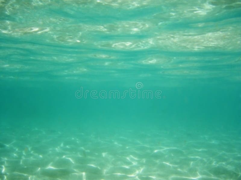 Green underwater stock photo. Image of ocean, blue, clear 12797018