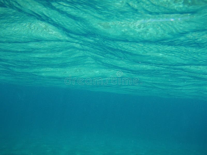 Swim underwater stock photo. Image of underwater, swim 4941920
