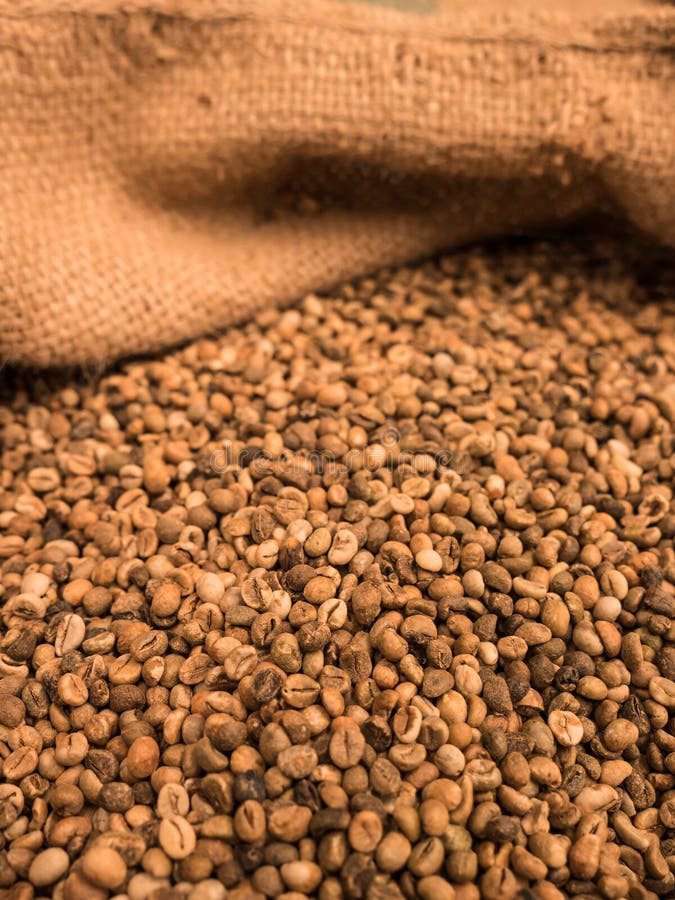 Green Unroasted Coffee Beans Stock Photo Image of scoop, canvas