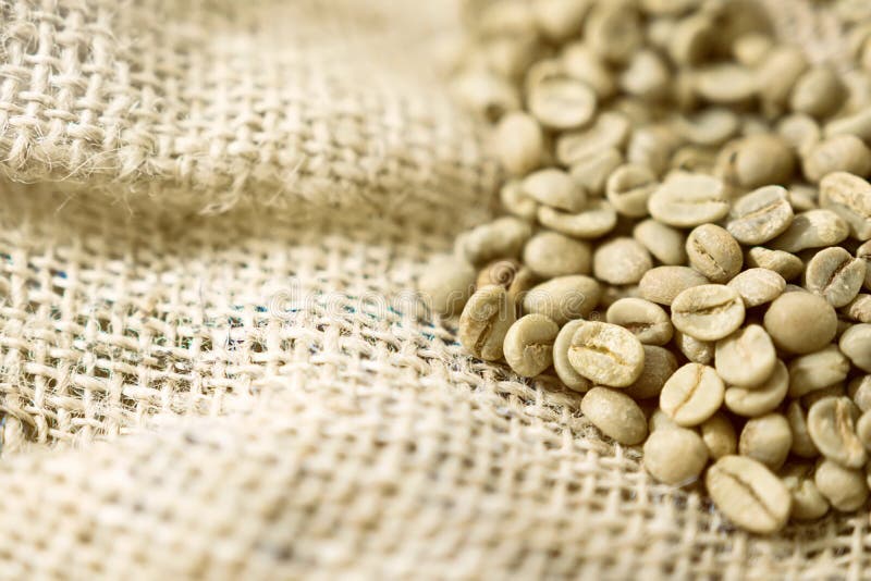 Green Unroasted Coffee Beans in a Sack. Stock Image Image of organic