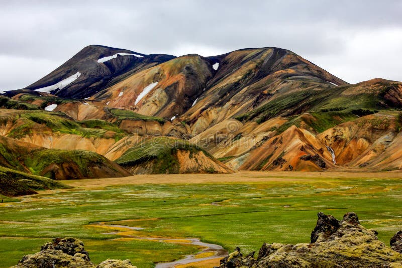 Exotic volcanic mountains and fieid of wildflowers in Iceland royalty free stock photos Exotic volcanic mountains and fieid of wildflowers in Iceland royalty free stock photos