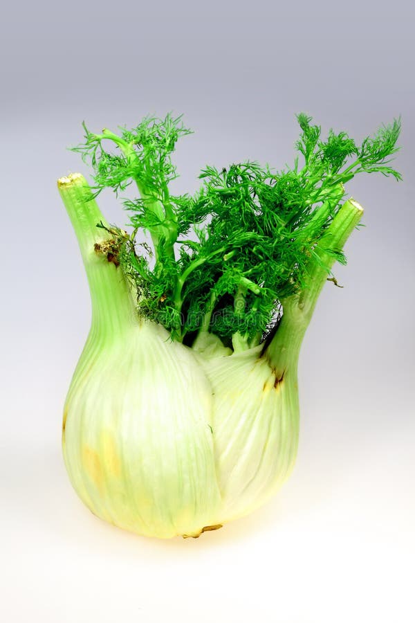 Green vegetable fennel stock image. Image of healthy 15317209