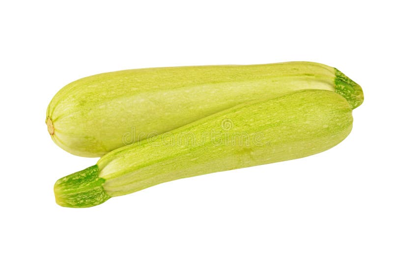 Green Vegetable Marrow (zucchini) Stock Photo Image of courgette, eating 33047894