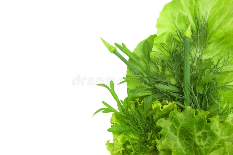 Green vegetables are isolated on white background