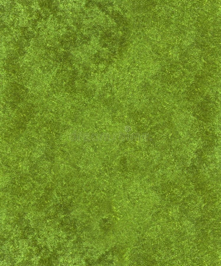 18,944 Green Velvet Background Stock Photos - Free & Royalty-Free Stock  Photos from Dreamstime