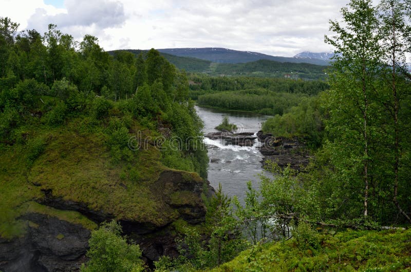 Green vibrant summer landscape with roaring river