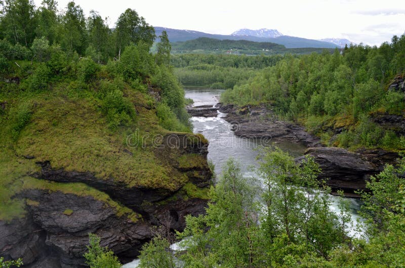 Green vibrant summer landscape with roaring river and waterfall