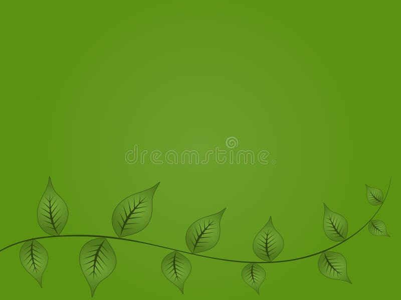 Green Vine Background Picture. Image 6441060