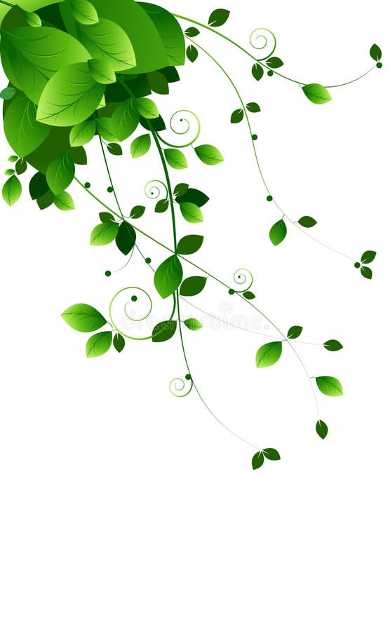 Green vines stock vector. Illustration of white, background - 15234402