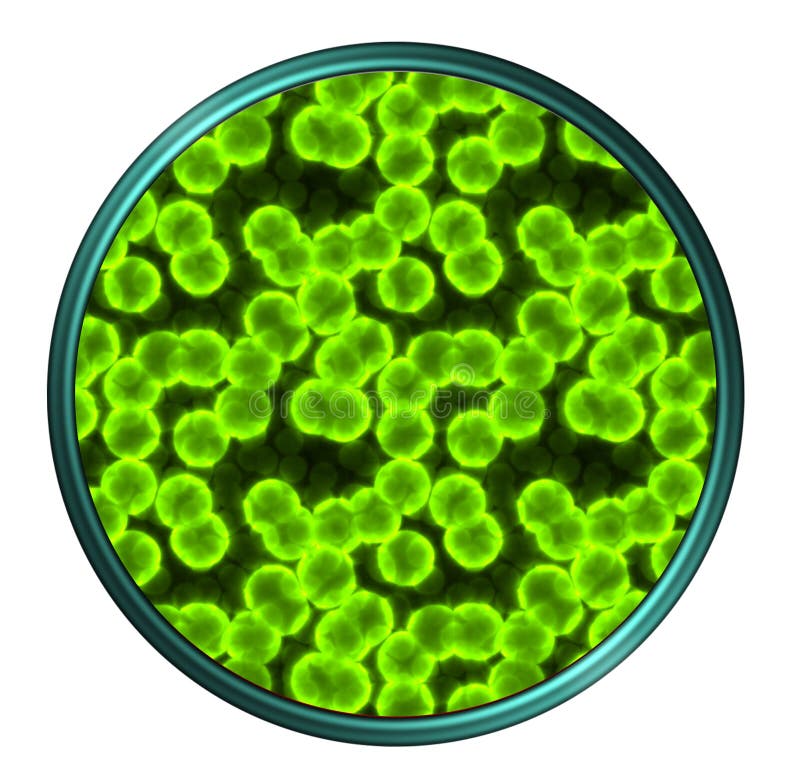 Green virus in Petri dishes