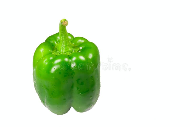 Green våt isolerad peppar arkivbild