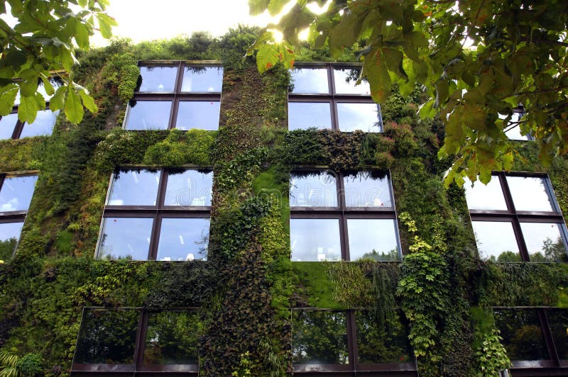 Green wall building, horizontal picture