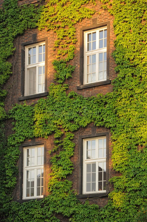 Green wall