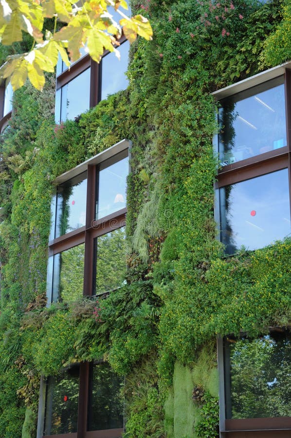 Green wall building, horizontal picture