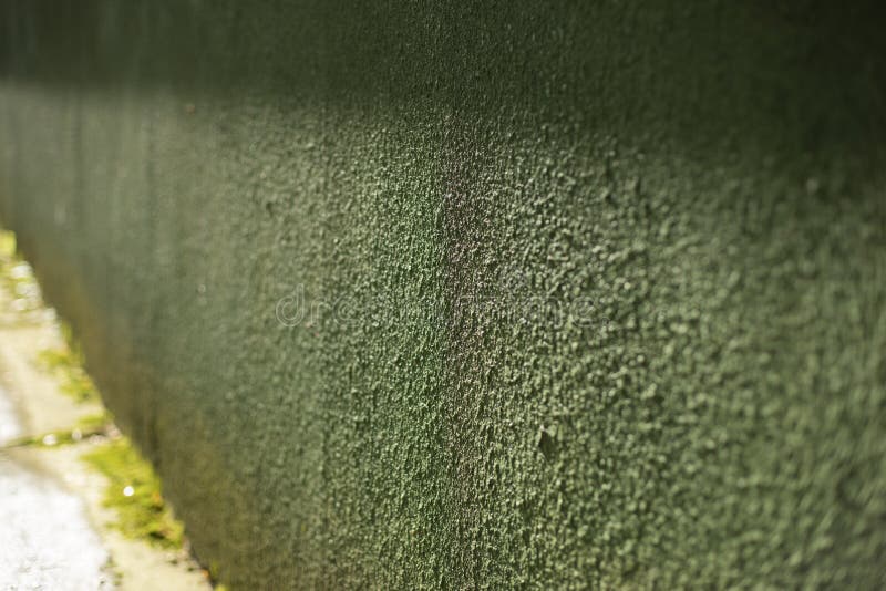 Green Wall of House in Yard. Rough Surface Stock Photo Image of