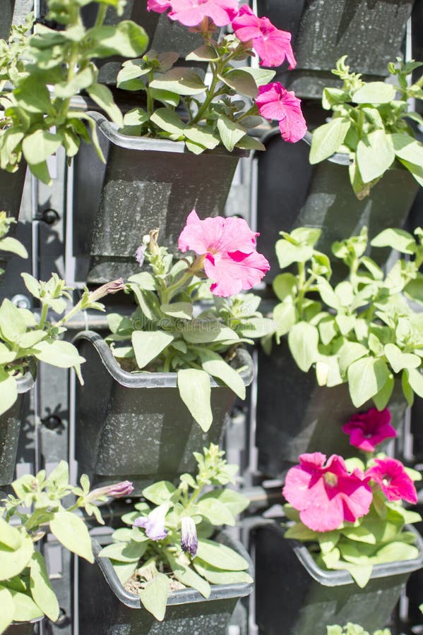 Green wall with flowers stock image. Image of decorative 100075323